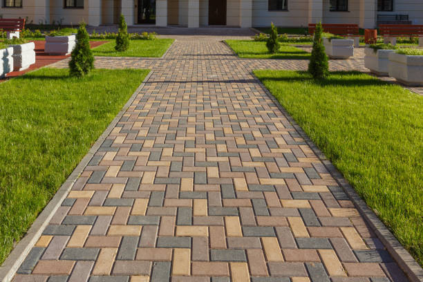 Best Driveway Paving Contractor  in Cleveland, AL
